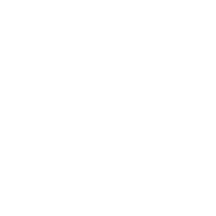 Initiative