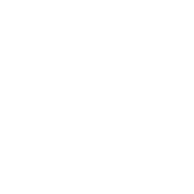 Critical Thinking