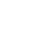 Video Interview